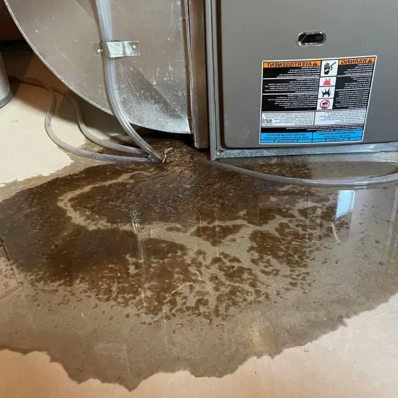 Pipe Burst and Leak Restoration in Teton County, WY