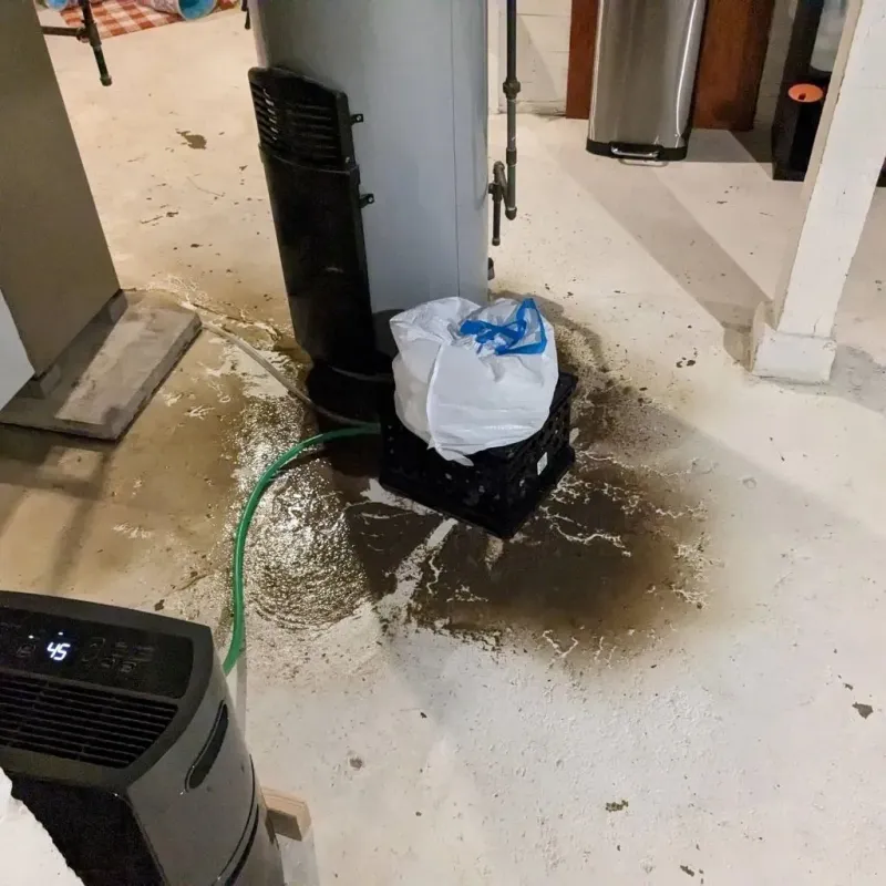 Sewage Backup Cleanup Service in Teton County, WY